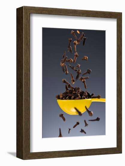 1 Tablespoon Whole Clove-Steve Gadomski-Framed Photographic Print