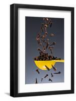 1 Tablespoon Whole Clove-Steve Gadomski-Framed Photographic Print