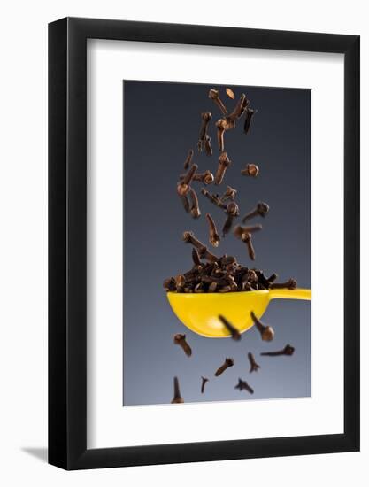 1 Tablespoon Whole Clove-Steve Gadomski-Framed Photographic Print