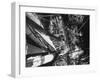 10-Day Sailing Cruise-Michael Rougier-Framed Photographic Print