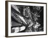 10-Day Sailing Cruise-Michael Rougier-Framed Photographic Print