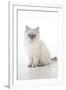 Gramercy White