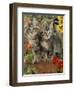 10-Week, Short-Haired Ticked Tabby Kittens with Nasturtiums, Montbretia and Yellow Daisies-Jane Burton-Framed Premium Photographic Print