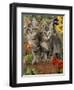 10-Week, Short-Haired Ticked Tabby Kittens with Nasturtiums, Montbretia and Yellow Daisies-Jane Burton-Framed Premium Photographic Print