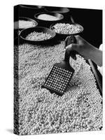 100 Pearls Being Counted at a Time Using Device at Factory-Alfred Eisenstaedt-Stretched Canvas