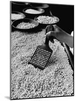 100 Pearls Being Counted at a Time Using Device at Factory-Alfred Eisenstaedt-Mounted Photographic Print