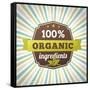 100 Percent Organic Ingredients Eco Label Poster-sputanski-Framed Stretched Canvas