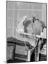 100 Year Old Parrot 1952-Staff-Mounted Photographic Print