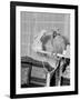 100 Year Old Parrot 1952-Staff-Framed Photographic Print