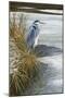 1000 Winter Heron-Jeremy Paul-Mounted Giclee Print