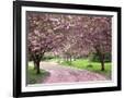 Gramercy Black