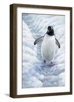 1009 Gentoo Penguin-Jeremy Paul-Framed Giclee Print