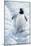 1009 Gentoo Penguin-Jeremy Paul-Mounted Giclee Print