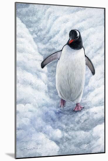 1009 Gentoo Penguin-Jeremy Paul-Mounted Giclee Print
