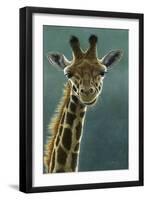 1031 Giraffe Beauty-Jeremy Paul-Framed Giclee Print