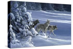 1062 The Strength Of The Wolf Is The Pack Yellowstone Wolves-Jeremy Paul-Stretched Canvas