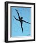 10CO-Pierre Henri Matisse-Framed Giclee Print