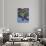 10COF-Pierre Henri Matisse-Giclee Print displayed on a wall