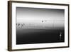 11 Herons-Moises Levy-Framed Photographic Print