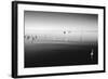 11 Herons-Moises Levy-Framed Photographic Print