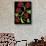 11 Lo 8 Bis-Pierre Henri Matisse-Stretched Canvas displayed on a wall