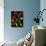 11 Lo 8 Bis-Pierre Henri Matisse-Giclee Print displayed on a wall