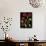 11 Lo 8 Bis-Pierre Henri Matisse-Framed Stretched Canvas displayed on a wall