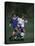 11 Year Old Boys Soccer Action-null-Stretched Canvas