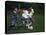 11 Year Old Boys Soccer Action-null-Stretched Canvas