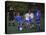 11 Year Old Boys Soccer Action-null-Stretched Canvas