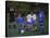 11 Year Old Boys Soccer Action-null-Stretched Canvas