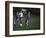 11 Year Old Boys Soccer Action-null-Framed Photographic Print