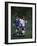 11 Year Old Boys Soccer Action-null-Framed Photographic Print