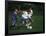 11 Year Old Boys Soccer Action-null-Framed Photographic Print