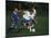 11 Year Old Boys Soccer Action-null-Mounted Photographic Print