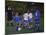 11 Year Old Boys Soccer Action-null-Mounted Photographic Print