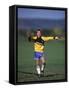 11 Year Old Boys Soccer Goalie in Action-null-Framed Stretched Canvas