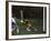 11 Year Old Boys Soccer Goalie in Action-null-Framed Photographic Print