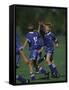 11 Year Old Boys Soccer Player Celebates a Goal-null-Framed Stretched Canvas