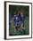 11 Year Old Boys Soccer Player Celebates a Goal-null-Framed Photographic Print