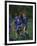 11 Year Old Boys Soccer Player Celebates a Goal-null-Framed Photographic Print