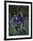 11 Year Old Boys Soccer Player Celebates a Goal-null-Framed Photographic Print