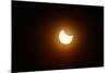 110 Eclipse 2017-Gordon Semmens-Mounted Giclee Print