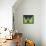 11CO-Pierre Henri Matisse-Framed Stretched Canvas displayed on a wall