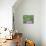 11COF-Pierre Henri Matisse-Stretched Canvas displayed on a wall