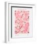 11X14 Flower Market Tokyo-Jolly and Dash-Framed Photographic Print
