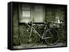 12 Days of Christmas Bicycle-Tim Kahane-Framed Stretched Canvas