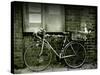 12 Days of Christmas Bicycle-Tim Kahane-Stretched Canvas