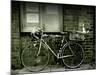 12 Days of Christmas Bicycle-Tim Kahane-Mounted Photographic Print