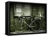 12 Days of Christmas Bicycle-Tim Kahane-Framed Stretched Canvas